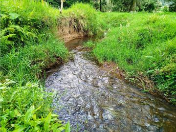 Se Vende Casa Campestre En Valle De Cocora
