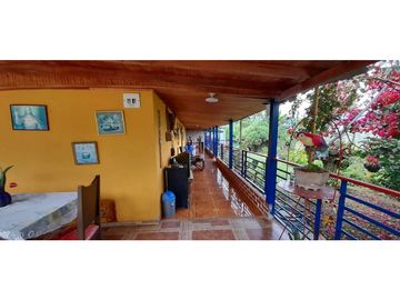 SE VENDE FINCA EN RIOFRIO CERCA A TULÚA EN EL VALLE