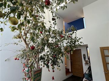 Casa en Venta en Jardines del Sur