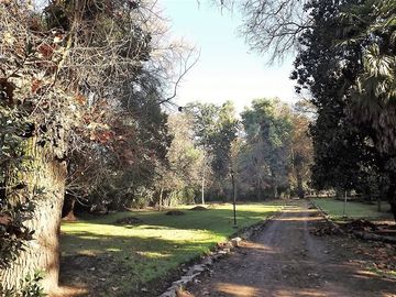 Sitio en Venta en La Cartuja - Mostazal