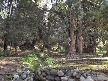 Sitio en Venta en La Cartuja - Mostazal