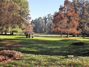 Sitio en Venta en La Cartuja - Mostazal