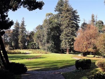 Sitio en Venta en La Cartuja - Mostazal