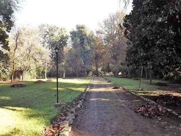 Parcela en Venta en La Cartuja - Mostazal
