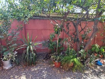 Casa en Venta en Salar de Punta Negra / Avenida Uno