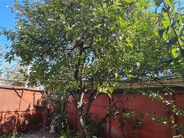 Casa en Venta en Salar de Punta Negra / Avenida Uno