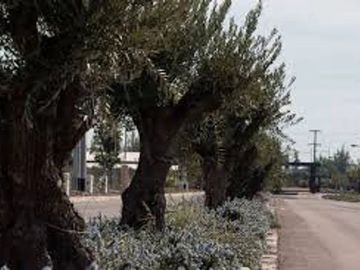 VENTA LOTE TERRAZAS PARK - MAIPU - MENDOZA