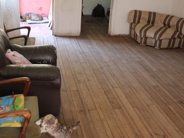 SE VENDE CASA CON 5 DORMITORIOS Y 560 MTS