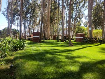 Departamento en venta en ALGARROBO