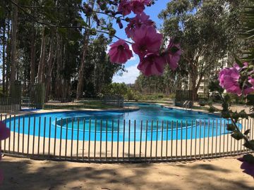Departamento en venta en ALGARROBO