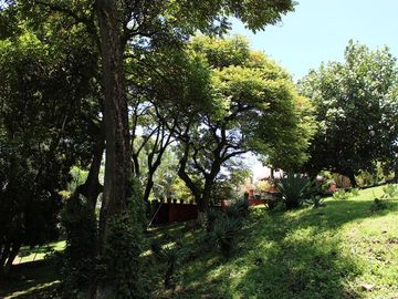 Espectacular casa arbolada en Venta en Malinalco