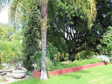 Espectacular casa arbolada en Venta en Malinalco