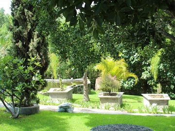 Espectacular casa arbolada en Venta en Malinalco