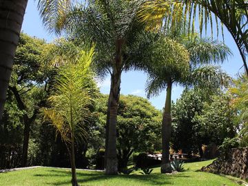Espectacular casa arbolada en Venta en Malinalco
