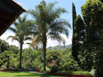 Espectacular casa arbolada en Venta en Malinalco