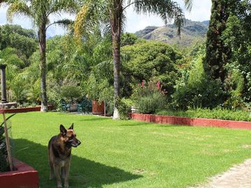 Espectacular casa arbolada en Venta en Malinalco
