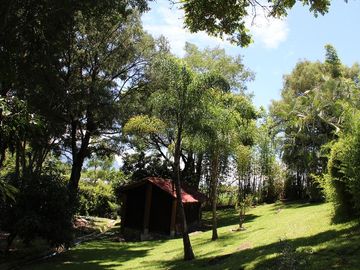 Espectacular casa arbolada en Venta en Malinalco