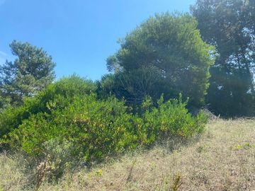 Lote en venta en Nueva Atlantis a cuatro cuadras del mar sobre calle Alfonsina Storni y Quinteros