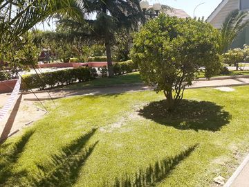 En Excelentes Condiciones Depto. 3d 2b 1e Techado Superficie