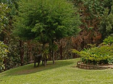 Venta De Finca En San Vicente Ferrer Vda Chaparral