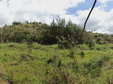 Venta De Finca En San Vicente Ferrer Vda Chaparral