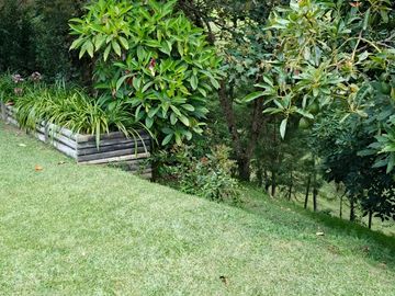 Venta De Finca En San Vicente Ferrer Vda Chaparral