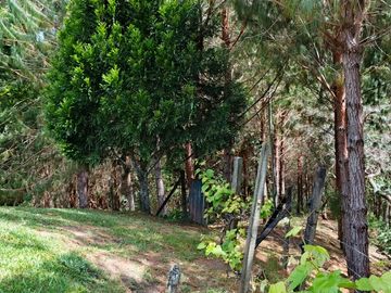 Venta De Finca En San Vicente Ferrer Vda Chaparral