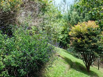 Venta De Finca En San Vicente Ferrer Vda Chaparral