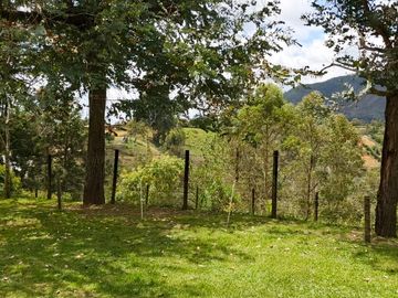 Venta De Finca En San Vicente Ferrer Vda Chaparral