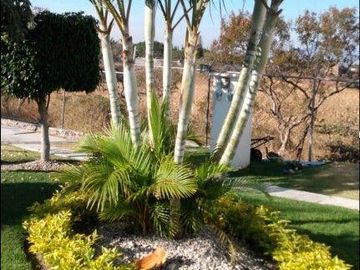 Casa en condominio en  Venta en Lomas de Cocoyoc, Atlatlahuacan Morelos Cuernavaca