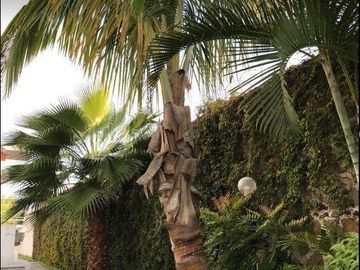 Casa en condominio en  Venta en Lomas de Cocoyoc, Atlatlahuacan Morelos Cuernavaca