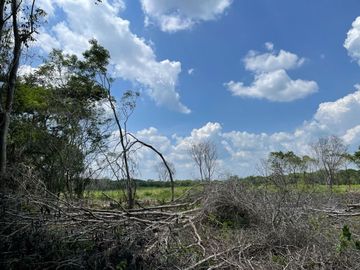 Rancho en Tecoh Yucatan, con casa, en venta