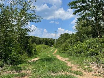 Rancho en Tecoh Yucatan, con casa, en venta