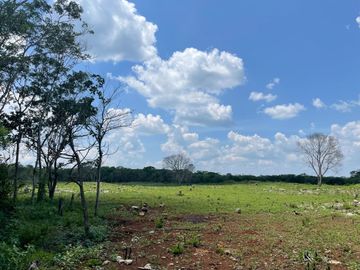 Rancho en Tecoh Yucatan, con casa, en venta