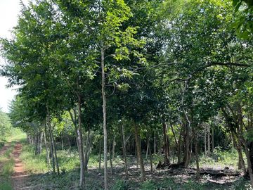 Rancho en Tecoh Yucatan, con casa, en venta