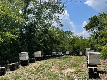 Rancho en Tecoh Yucatan, con casa, en venta