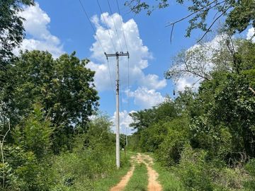 Rancho en Tecoh Yucatan, con casa, en venta