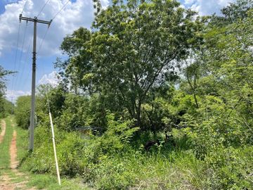Rancho en Tecoh Yucatan, con casa, en venta