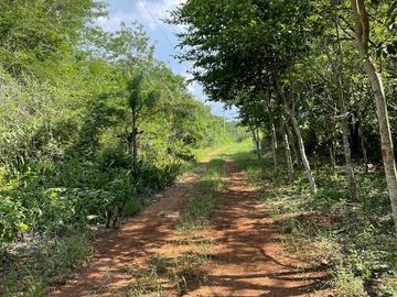 Rancho en Tecoh Yucatan, con casa, en venta