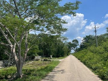 Rancho en Tecoh Yucatan, con casa, en venta