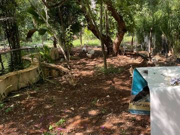 Rancho en Tecoh Yucatan, con casa, en venta