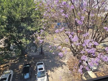 Departamento en venta en San Pedro de los Pinos, CDMX.