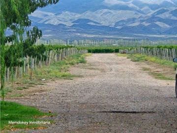 VENTA DE FINCA ÚNICA DE 275 HAS - EN TUNUYAN, MENDOZA.