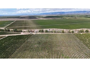 VENTA DE FINCA ÚNICA DE 275 HAS - EN TUNUYAN, MENDOZA.