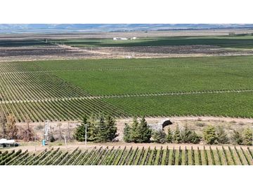 VENTA DE FINCA ÚNICA DE 275 HAS - EN TUNUYAN, MENDOZA.