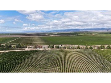 VENTA DE FINCA ÚNICA DE 275 HAS - EN TUNUYAN, MENDOZA.