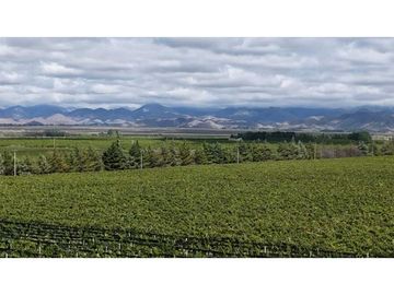 VENTA DE FINCA ÚNICA DE 275 HAS - EN TUNUYAN, MENDOZA.