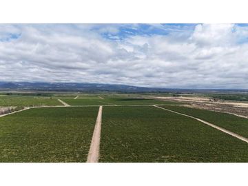 VENTA DE FINCA ÚNICA DE 275 HAS - EN TUNUYAN, MENDOZA.