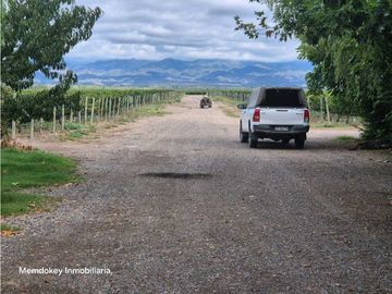 VENTA DE FINCA ÚNICA DE 275 HAS - EN TUNUYAN, MENDOZA.