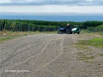 VENTA DE FINCA ÚNICA DE 275 HAS - EN TUNUYAN, MENDOZA.